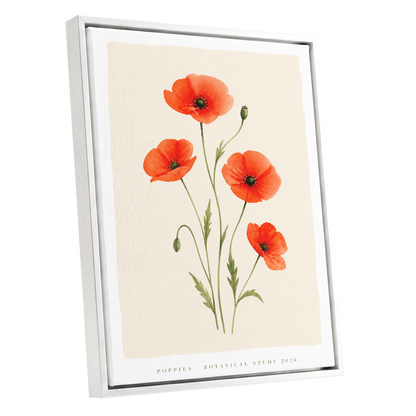 Scarlet Poppy Study, red, green, beige floral wall art shown as a white framed canvas wall art