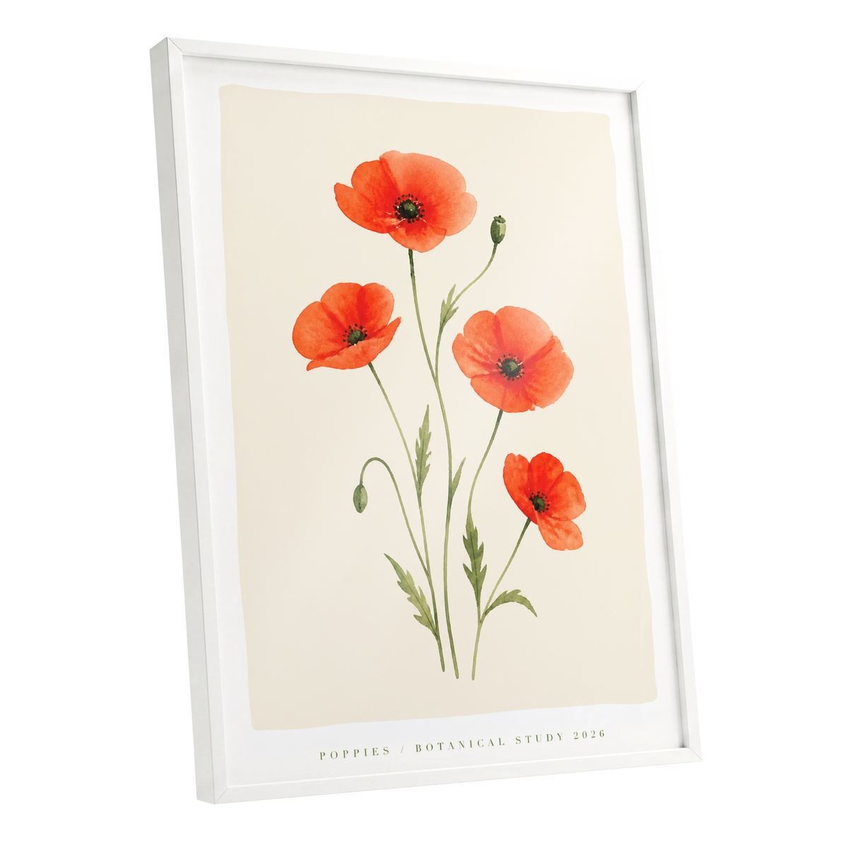 Scarlet Poppy Study, red, green, beige floral wall art shown as a white framed poster wall art print