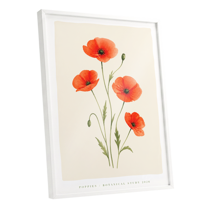 Scarlet Poppy Study, red, green, beige floral wall art shown as a white framed poster wall art print