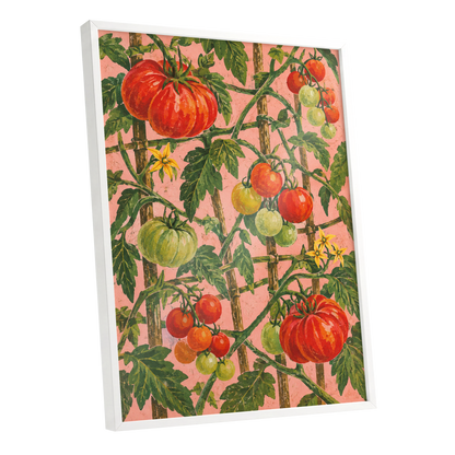 Scarlet Tomato Trellis, red, green, pink nature wall art shown as a white framed poster wall art print