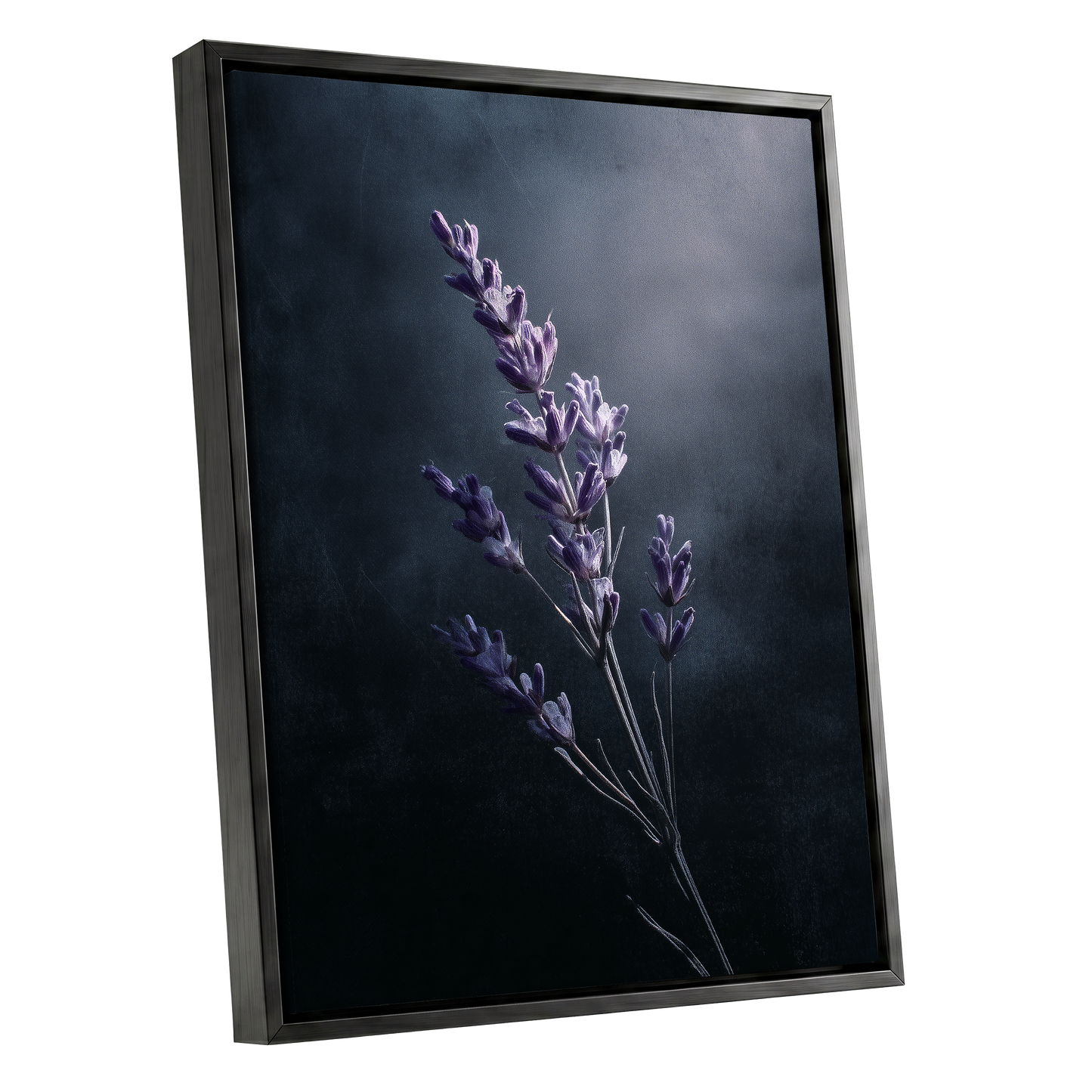 Silverlit Lavender, black, gray, blue floral wall art shown as a black framed canvas wall art