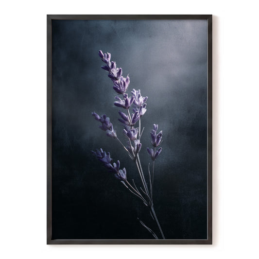Silverlit Lavender, black, gray, blue floral wall art, front artwork view
