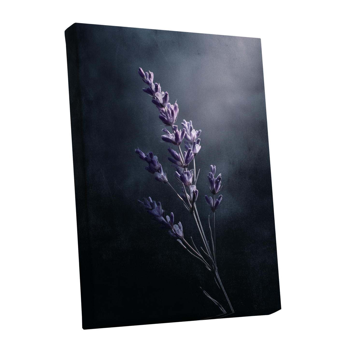 Silverlit Lavender, black, gray, blue floral wall art shown as a stretched canvas wall art