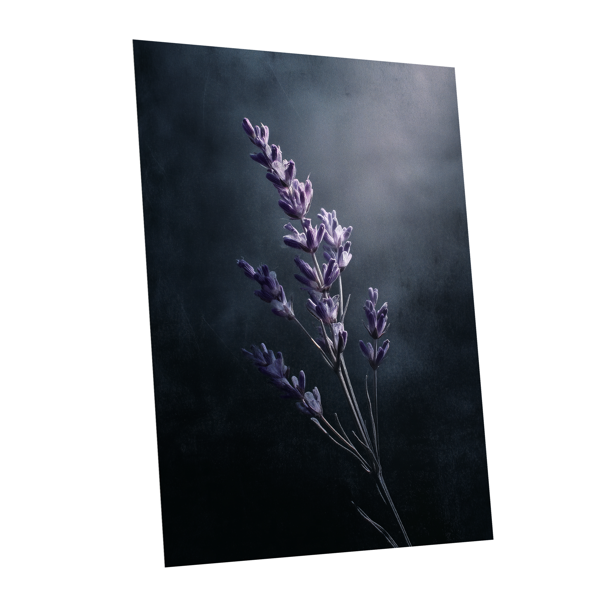 Silverlit Lavender, black, gray, blue floral wall art shown as a unframed poster wall art print