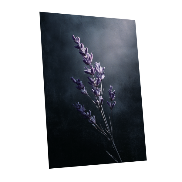 Silverlit Lavender, black, gray, blue floral wall art shown as a unframed poster wall art print