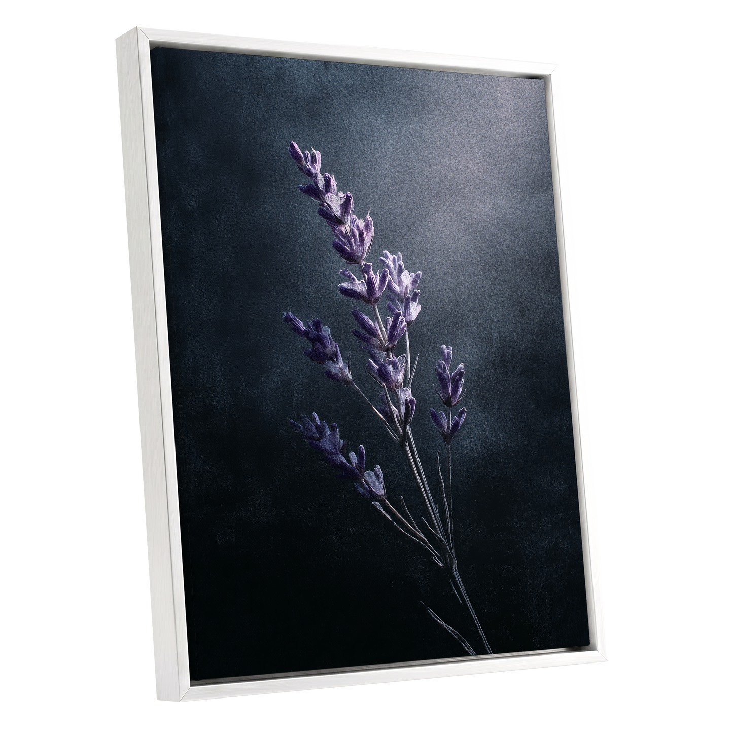 Silverlit Lavender, black, gray, blue floral wall art shown as a white framed canvas wall art
