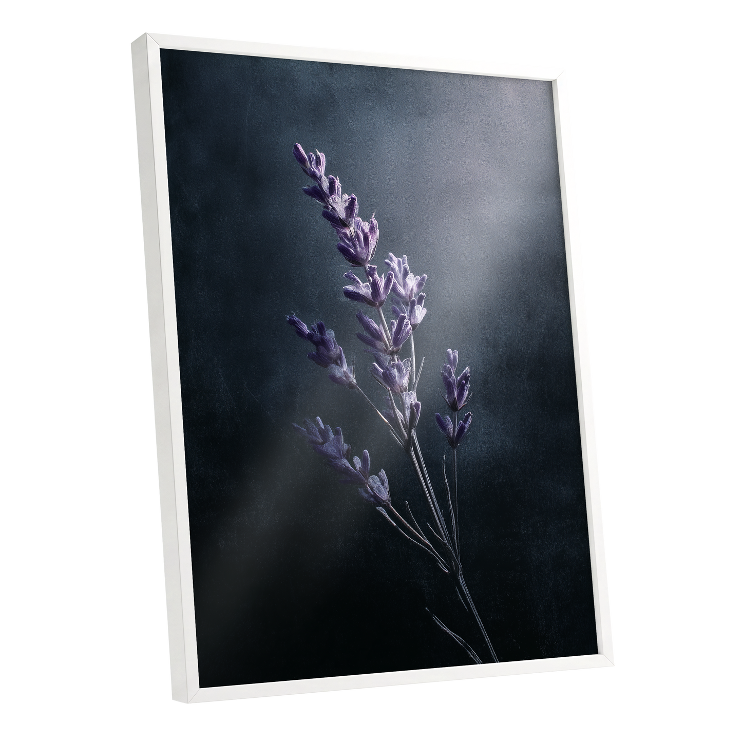 Silverlit Lavender, black, gray, blue floral wall art shown as a white framed poster wall art print