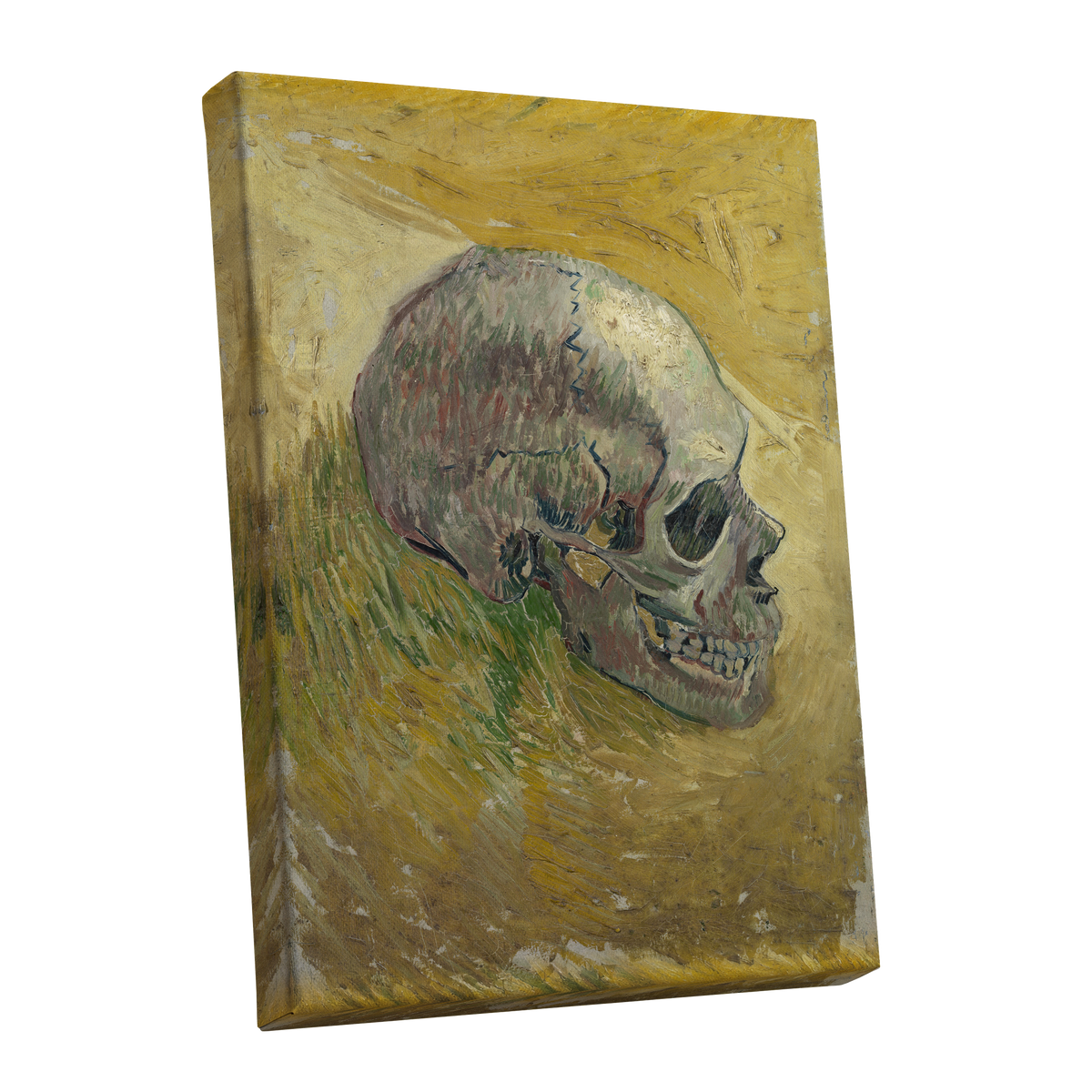 Skull in Saffron, yellow, green, beige abstract wall art shown as a stretched canvas wall art