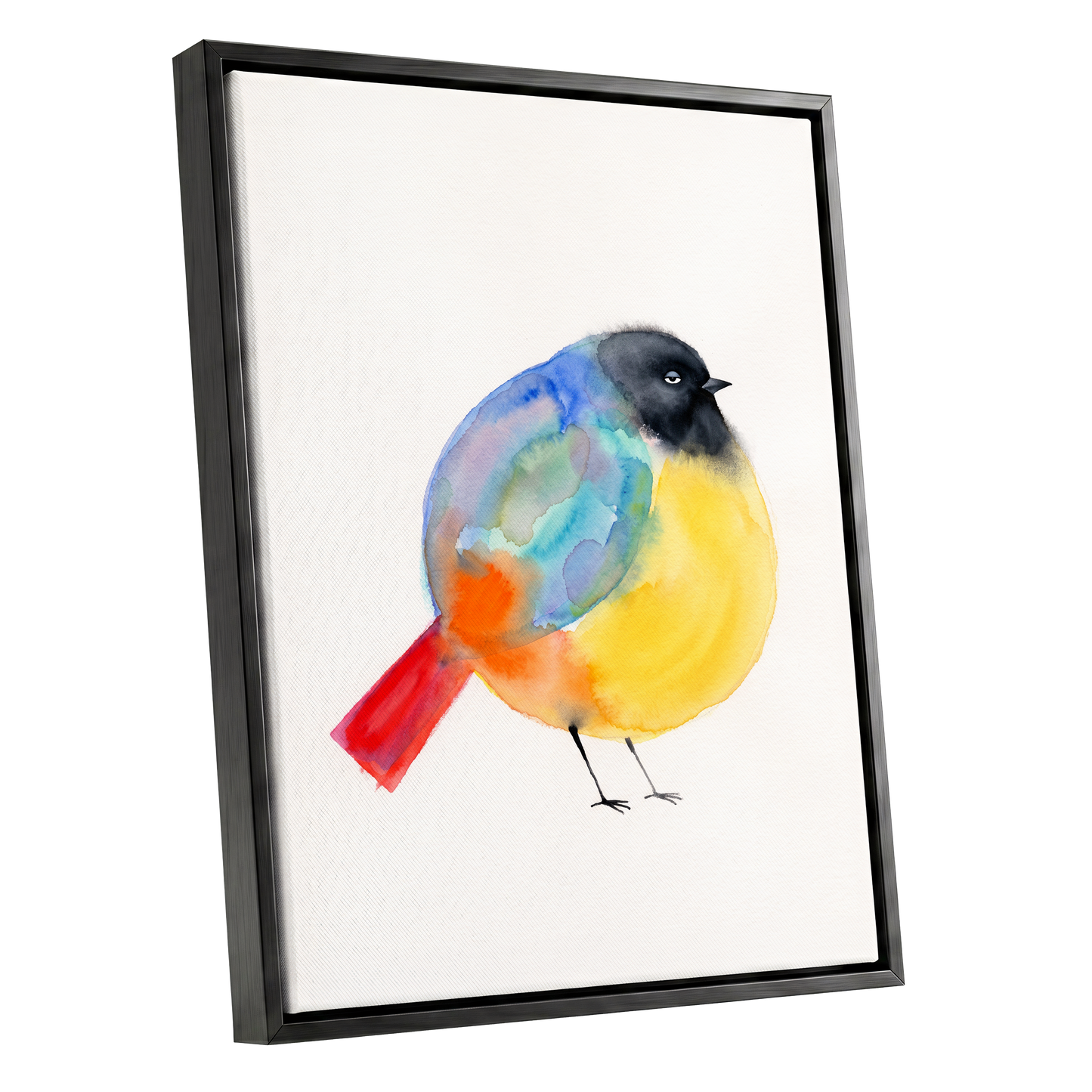 Sleepy Rainbow Bird, multicolor, white, yellow nature wall art shown as a black framed canvas wall art