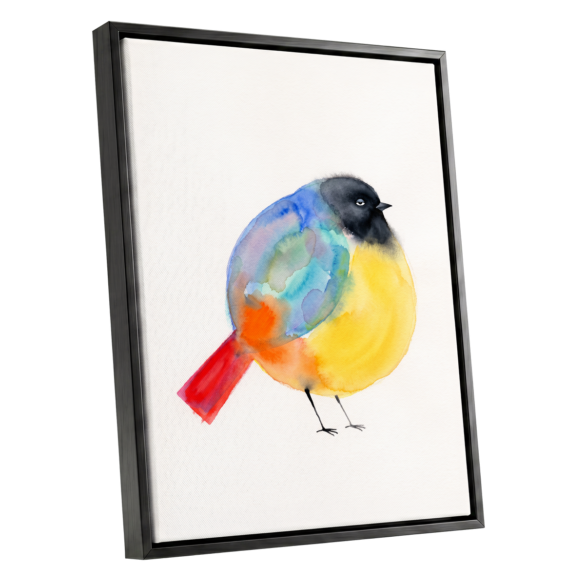 Sleepy Rainbow Bird, multicolor, white, yellow nature wall art shown as a black framed canvas wall art