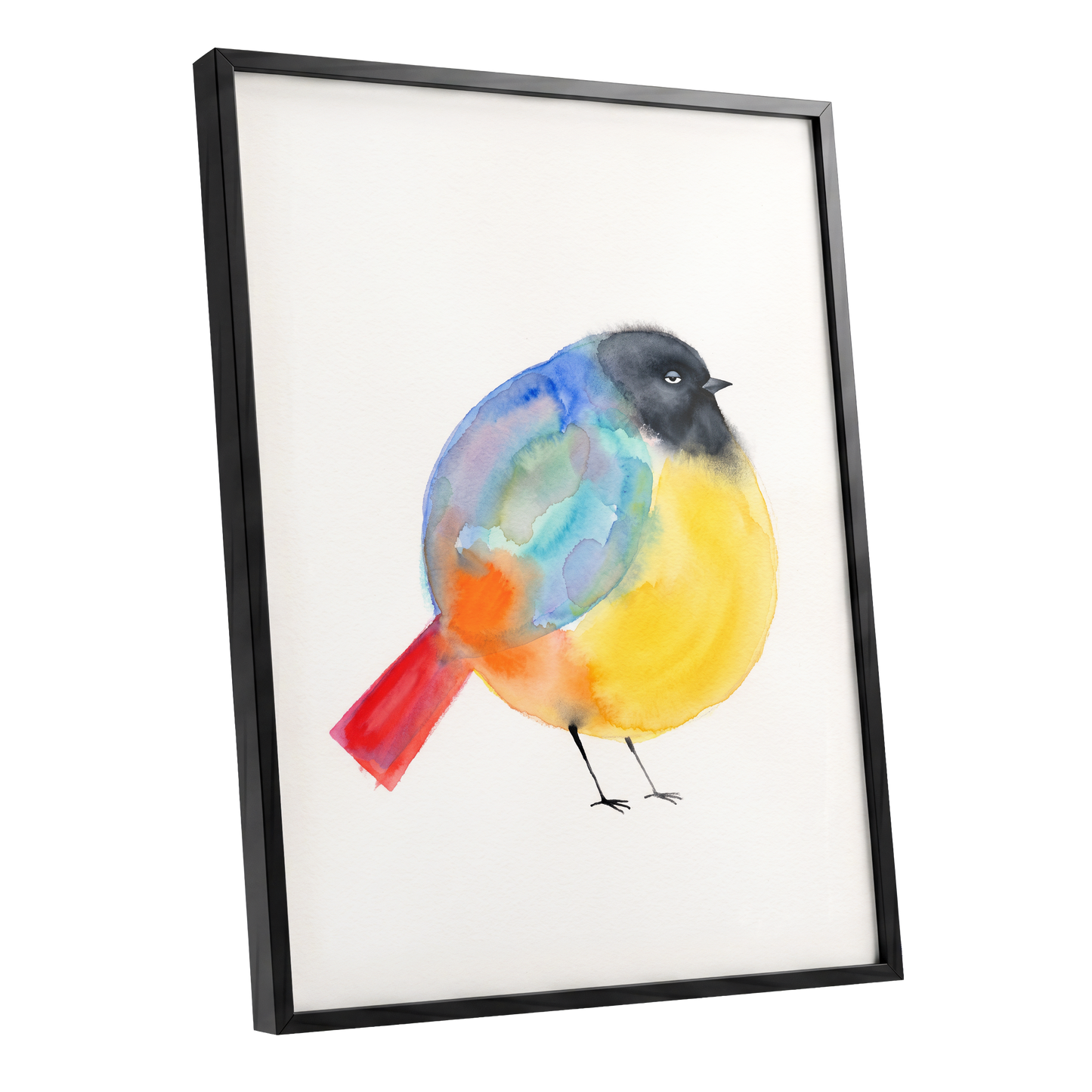 Sleepy Rainbow Bird, multicolor, white, yellow nature wall art shown as a black framed poster wall art print