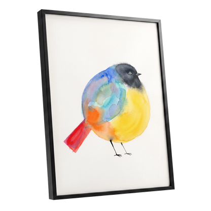 Sleepy Rainbow Bird, multicolor, white, yellow nature wall art shown as a black framed poster wall art print