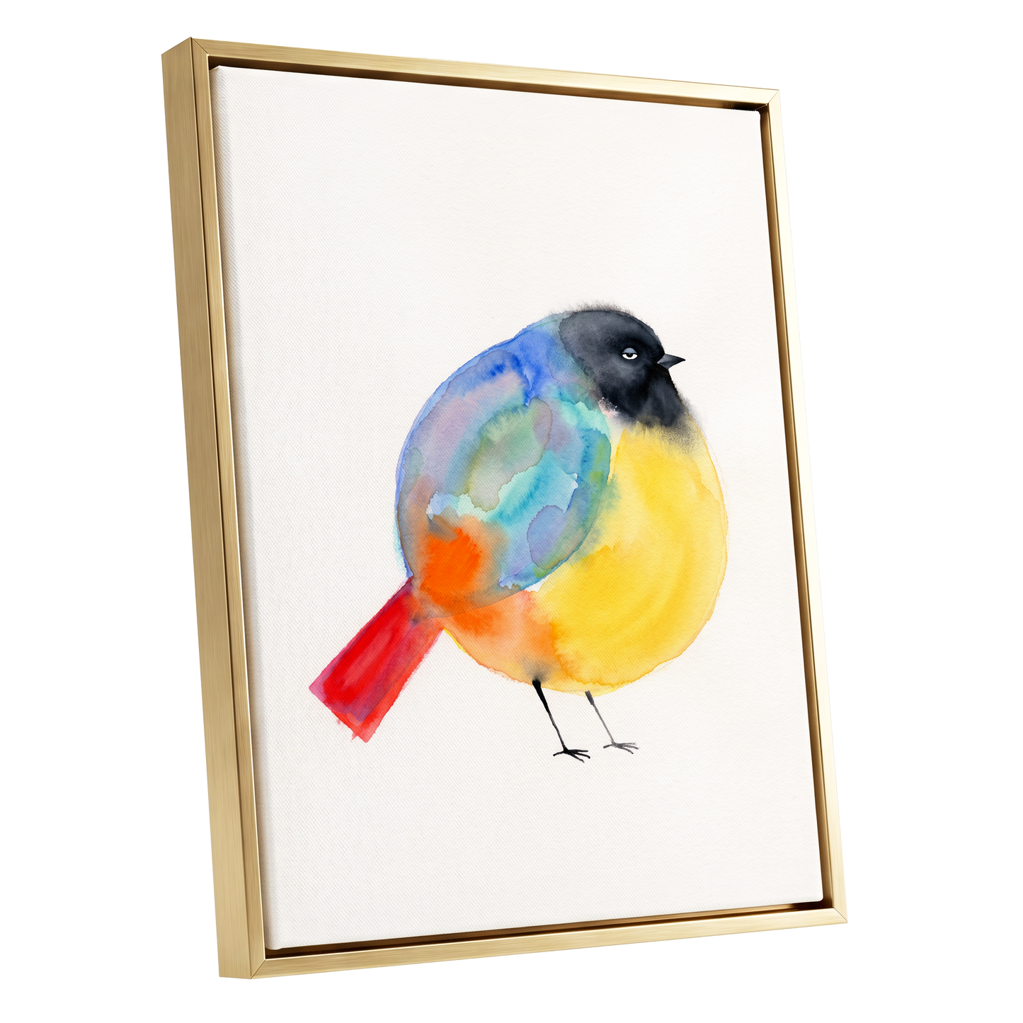 Sleepy Rainbow Bird, multicolor, white, yellow nature wall art shown as a gold framed canvas wall art