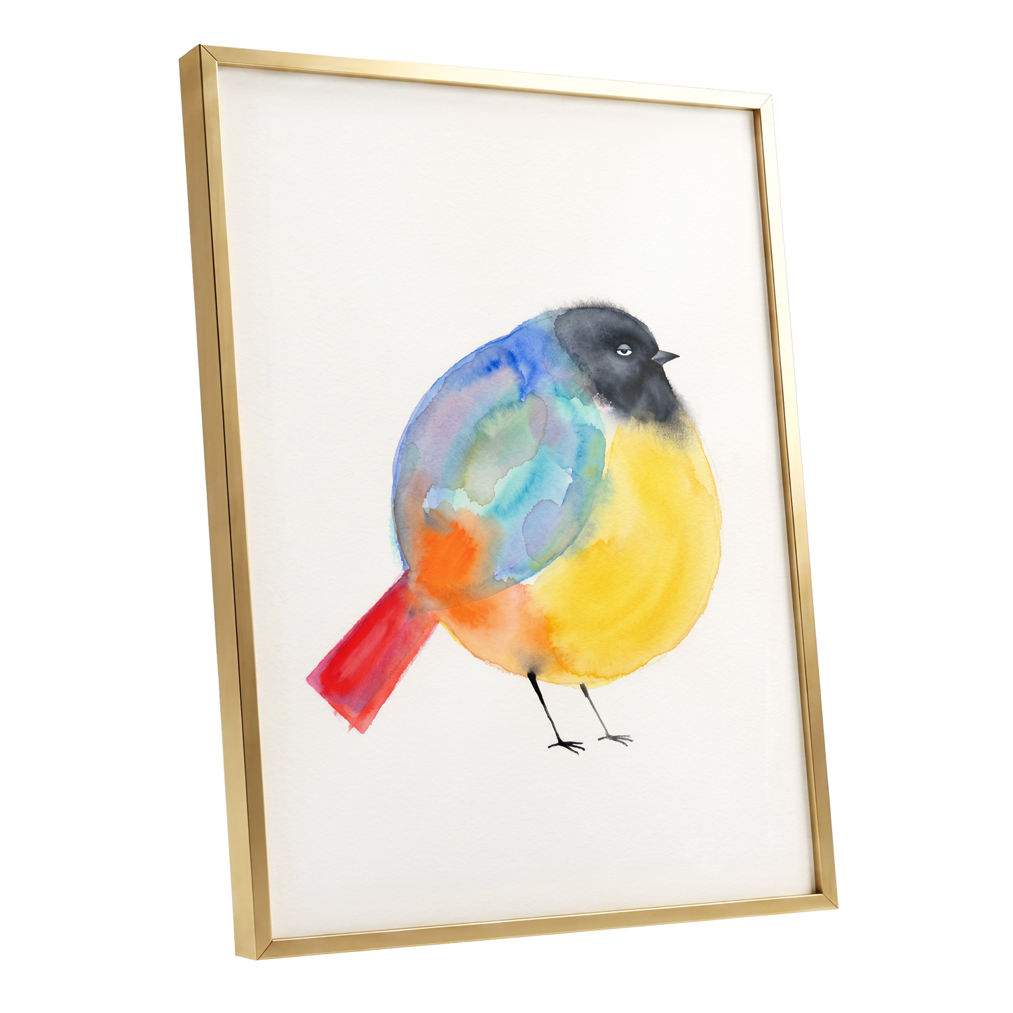 Sleepy Rainbow Bird, multicolor, white, yellow nature wall art shown as a gold framed poster wall art print