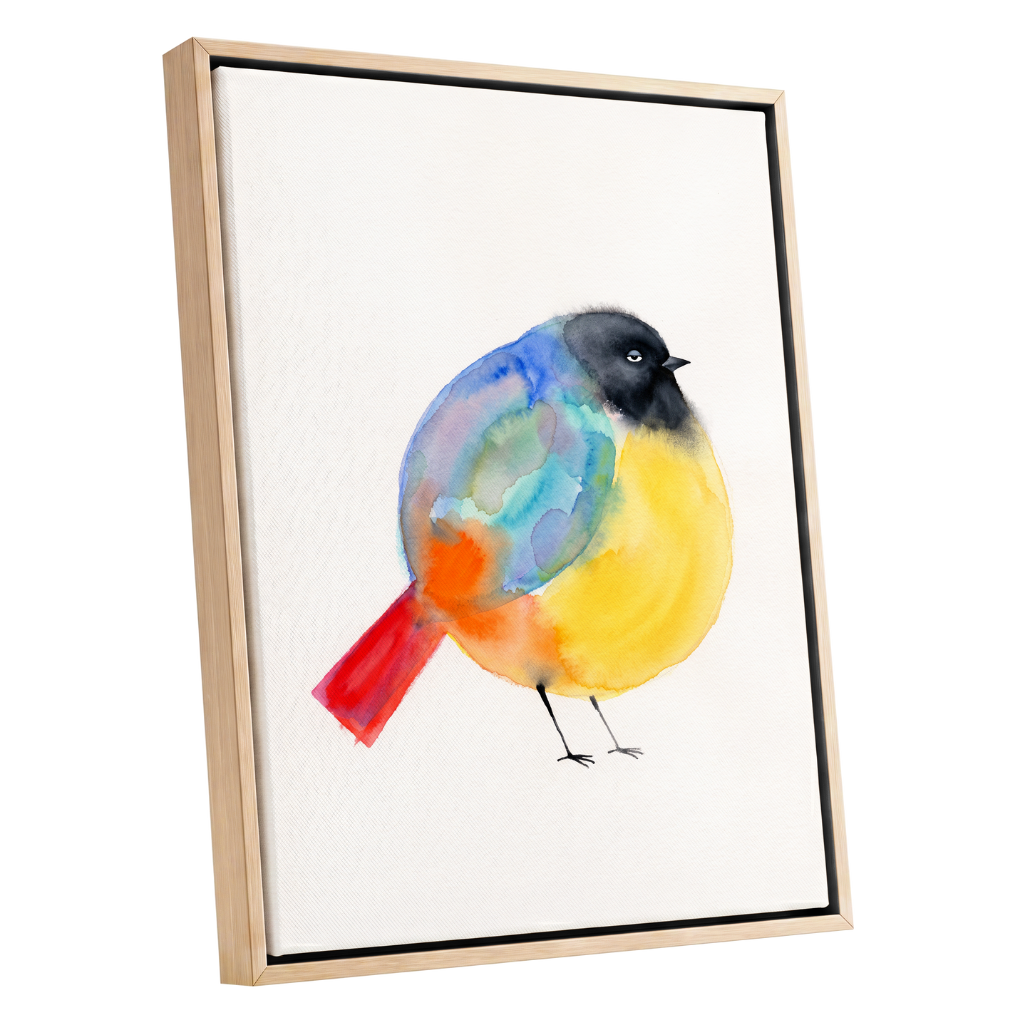 Sleepy Rainbow Bird, multicolor, white, yellow nature wall art shown as a oak framed canvas wall art