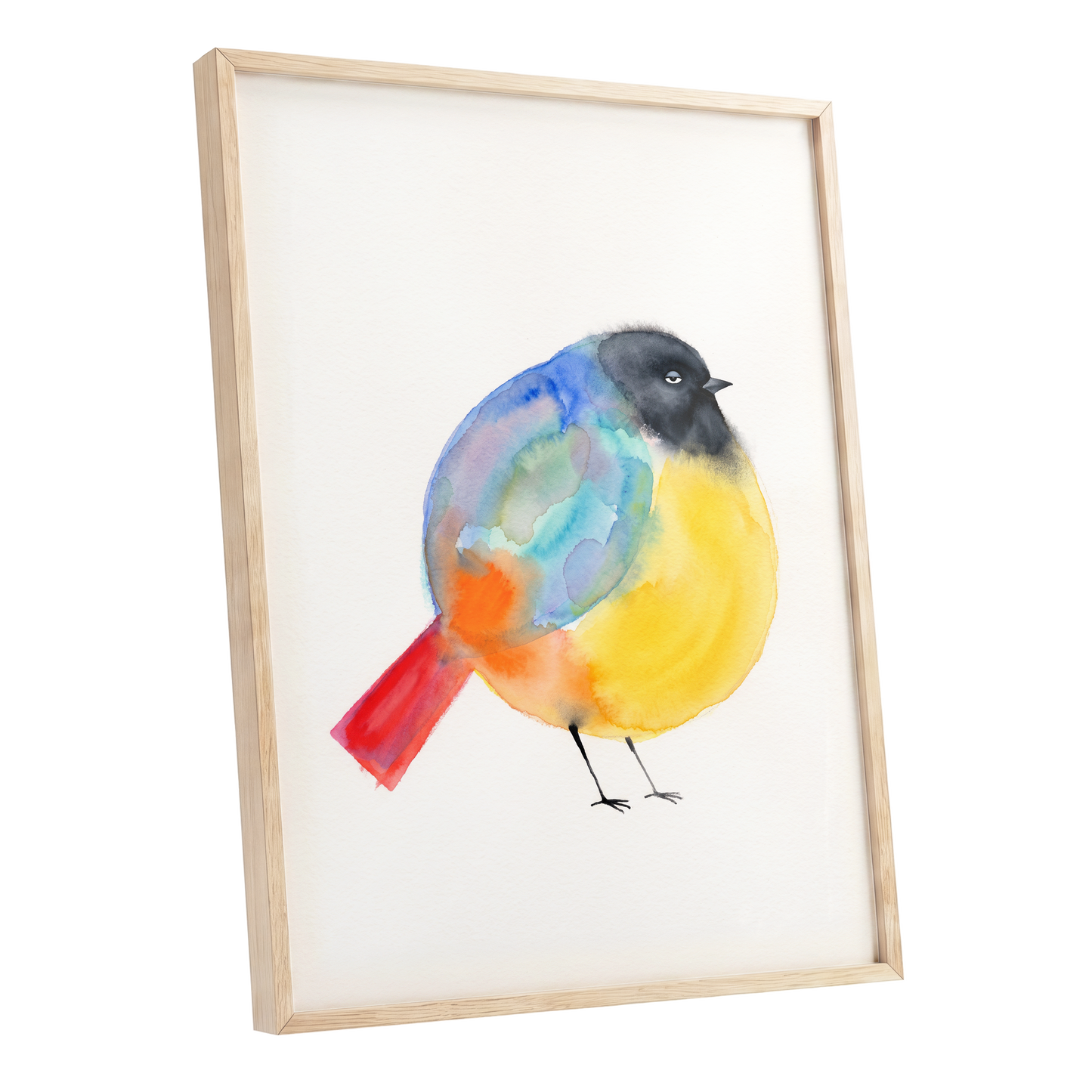 Sleepy Rainbow Bird, multicolor, white, yellow nature wall art shown as a oak framed poster wall art print