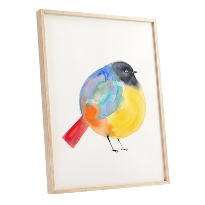 Sleepy Rainbow Bird, multicolor, white, yellow nature wall art shown as a oak framed poster wall art print