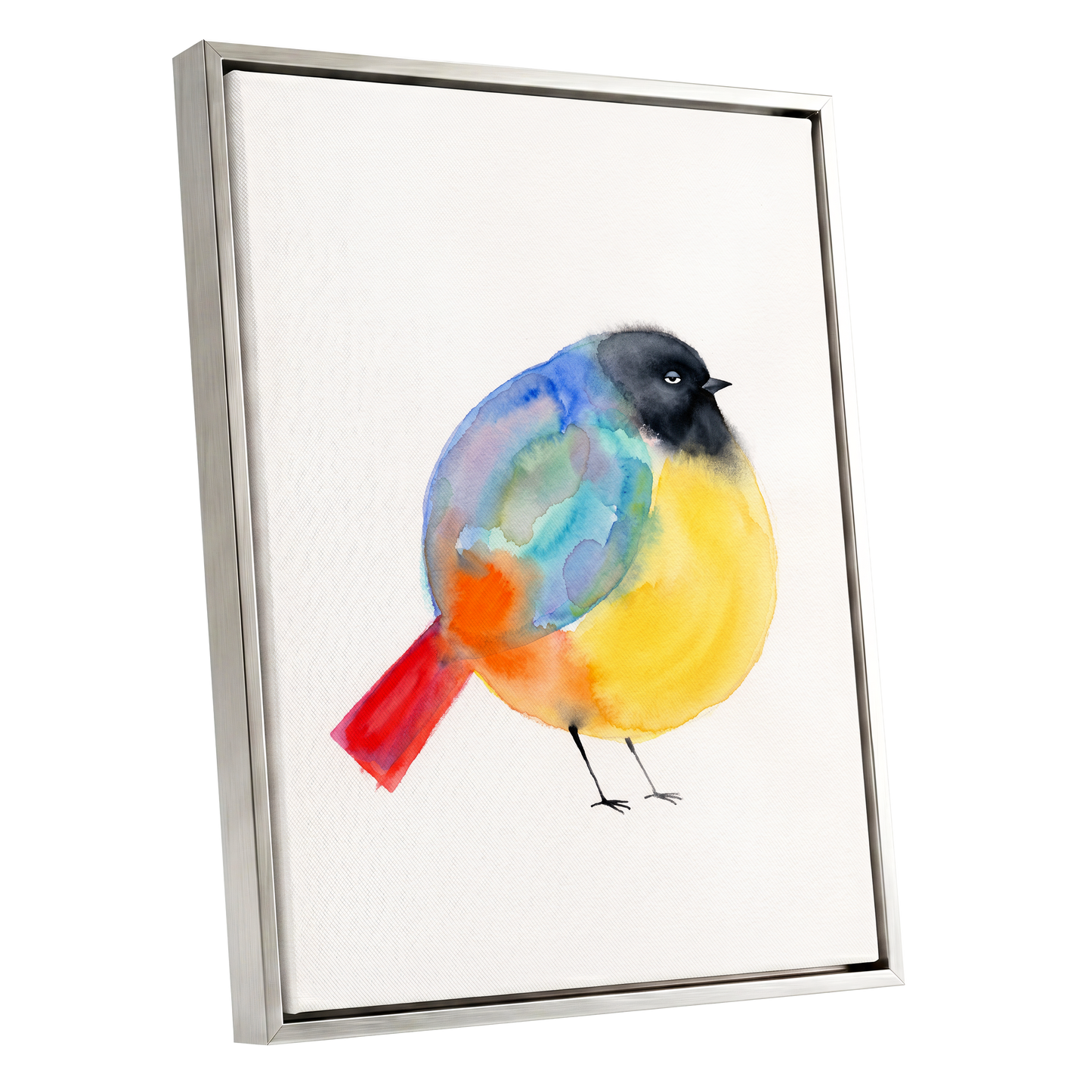 Sleepy Rainbow Bird, multicolor, white, yellow nature wall art shown as a silver framed canvas wall art