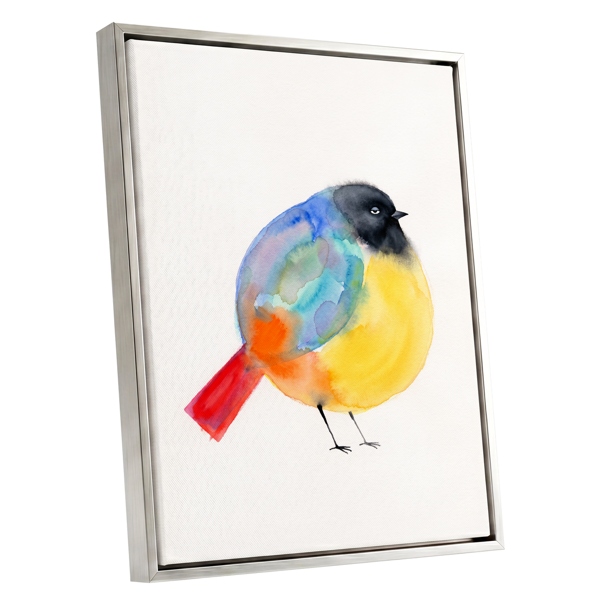 Sleepy Rainbow Bird, multicolor, white, yellow nature wall art shown as a silver framed canvas wall art