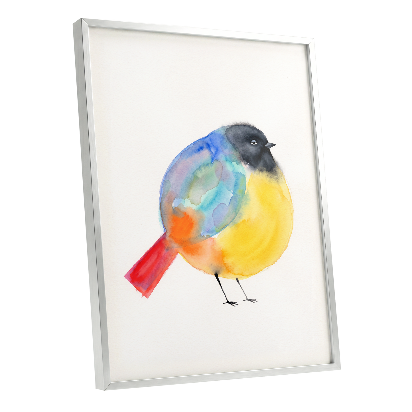 Sleepy Rainbow Bird, multicolor, white, yellow nature wall art shown as a silver framed poster wall art print