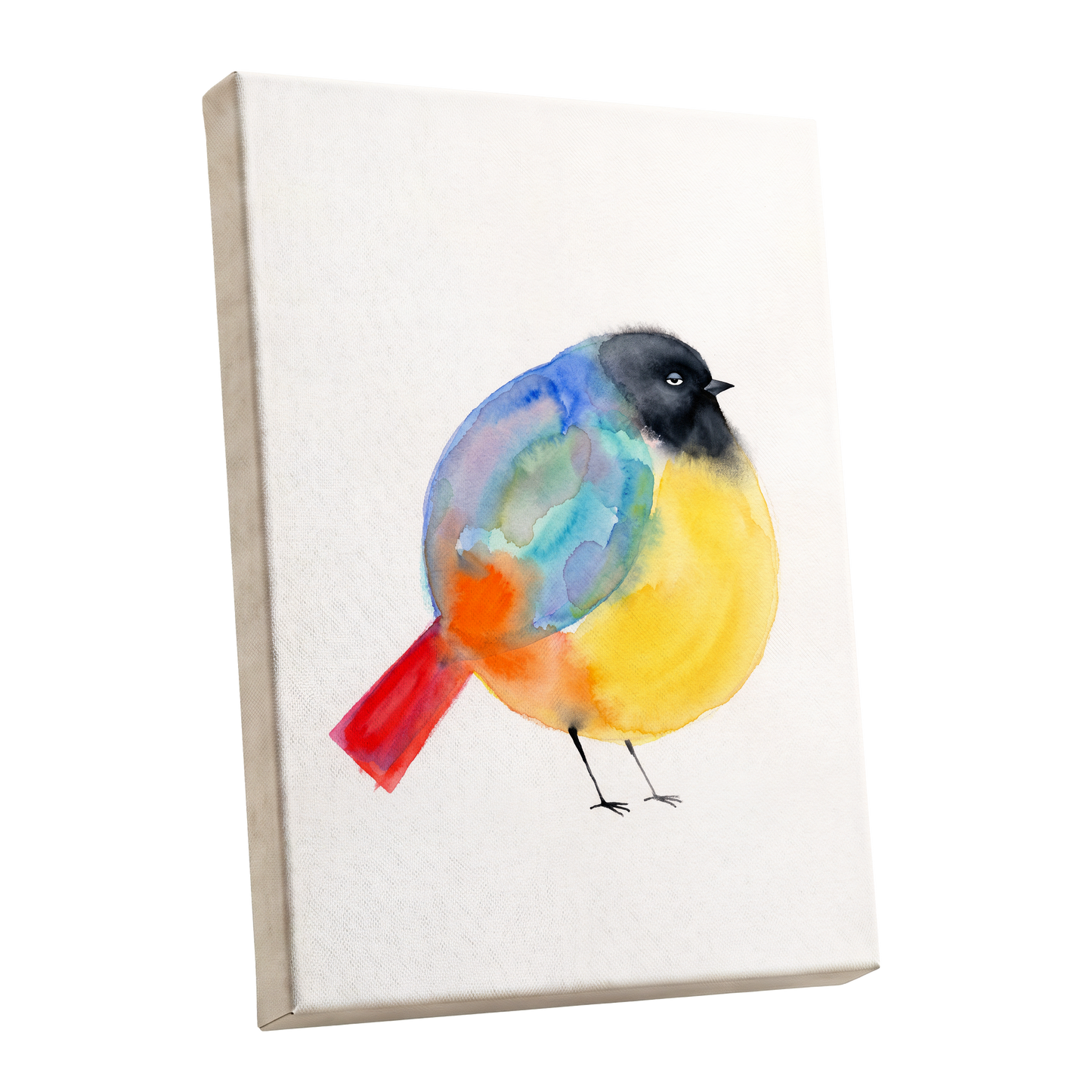 Sleepy Rainbow Bird, multicolor, white, yellow nature wall art shown as a stretched canvas wall art