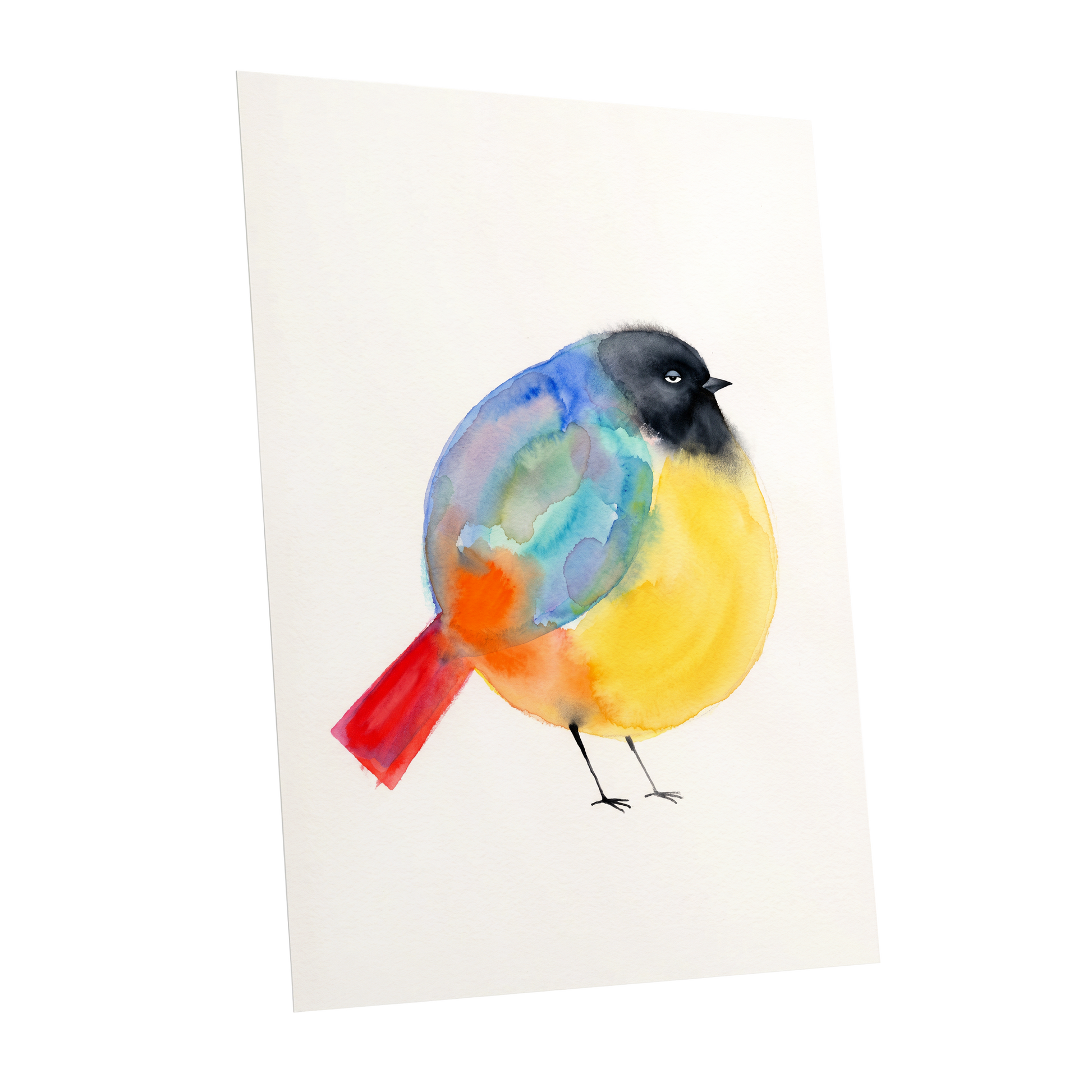 Sleepy Rainbow Bird, multicolor, white, yellow nature wall art shown as a unframed poster wall art print