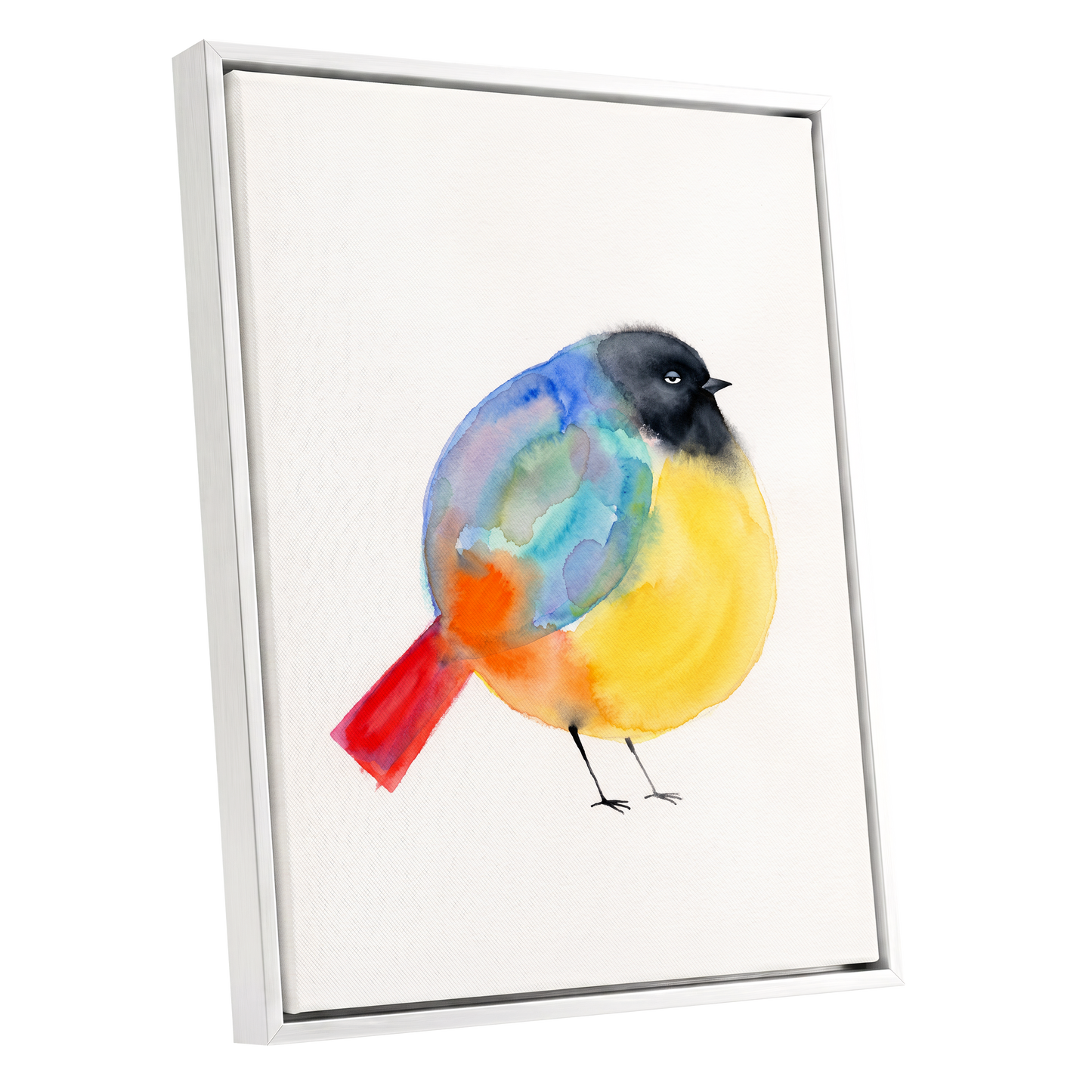 Sleepy Rainbow Bird, multicolor, white, yellow nature wall art shown as a white framed canvas wall art