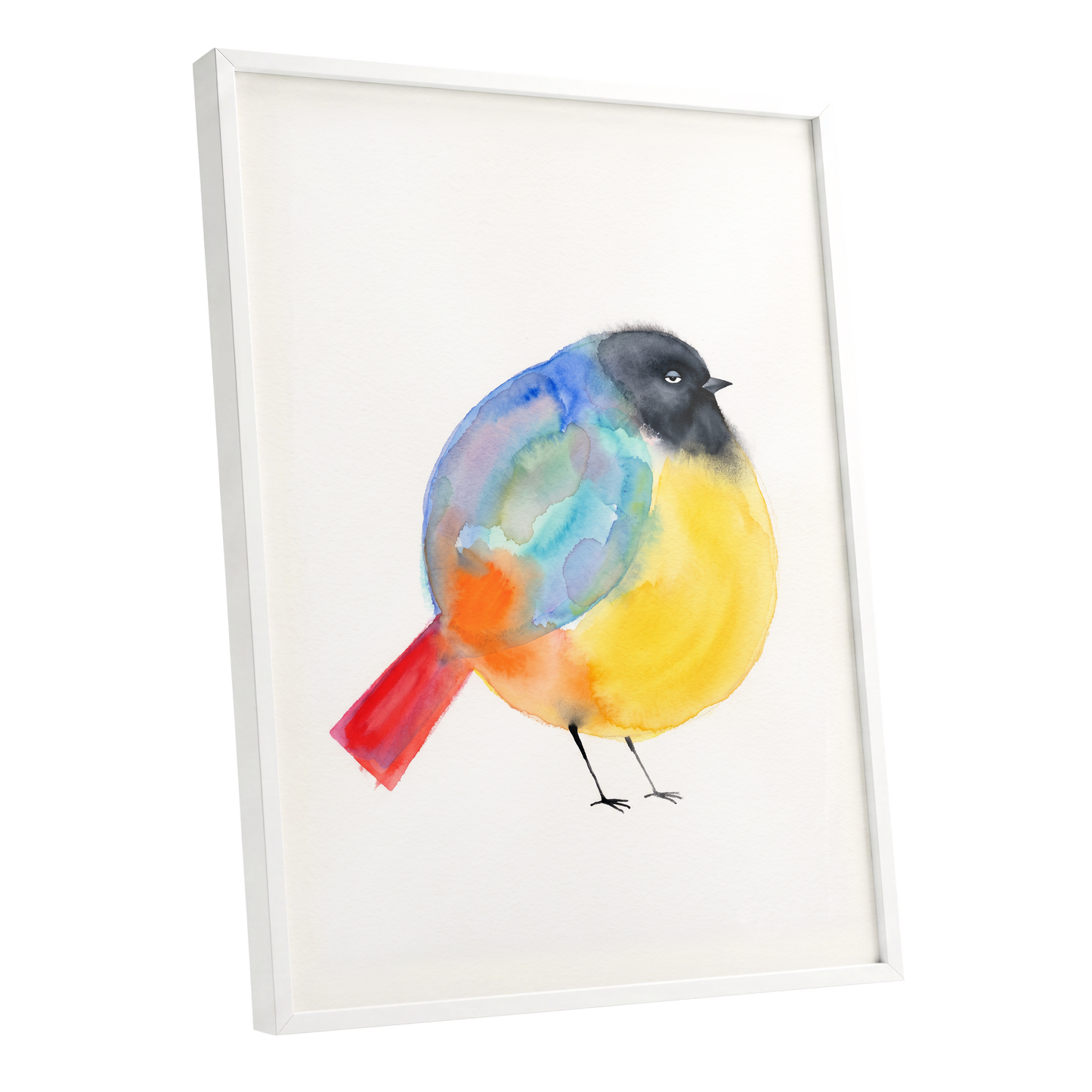 Sleepy Rainbow Bird, multicolor, white, yellow nature wall art shown as a white framed poster wall art print