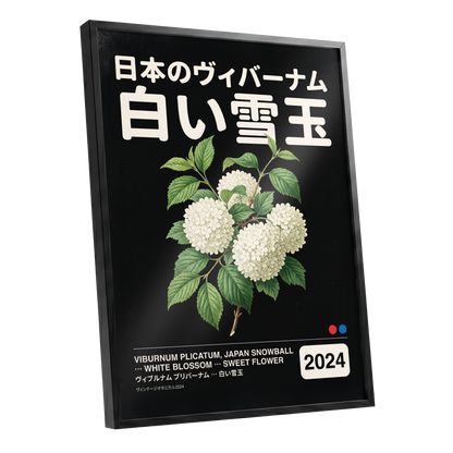 Snowball in Shiro, black, green, white floral wall art shown as a black framed poster wall art print