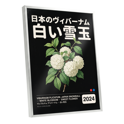 Snowball in Shiro, black, green, white floral wall art shown as a silver framed poster wall art print