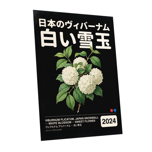 Snowball in Shiro, black, green, white floral wall art shown as a unframed poster wall art print