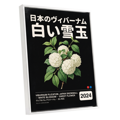 Snowball in Shiro, black, green, white floral wall art shown as a white framed canvas wall art
