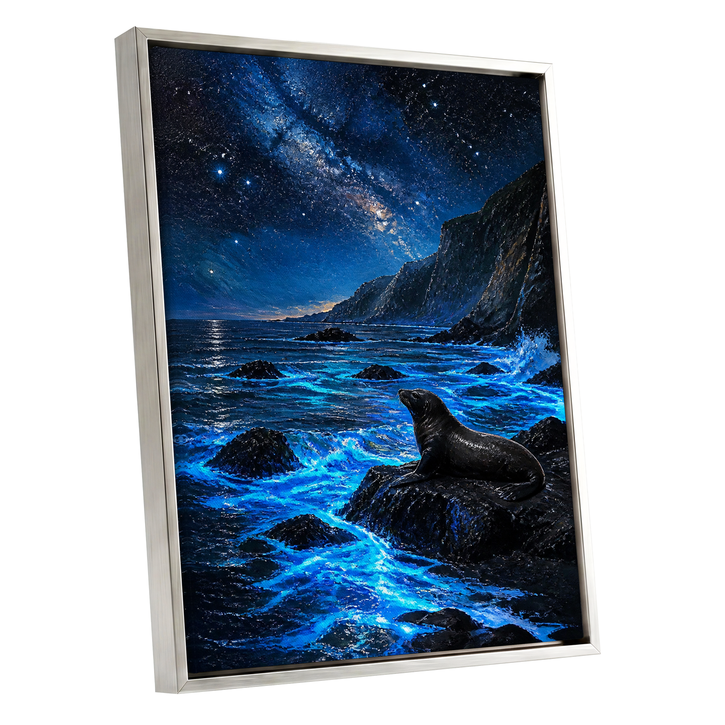 Starlit Seal Cove, blue, black, white nature wall art shown as a silver framed canvas wall art