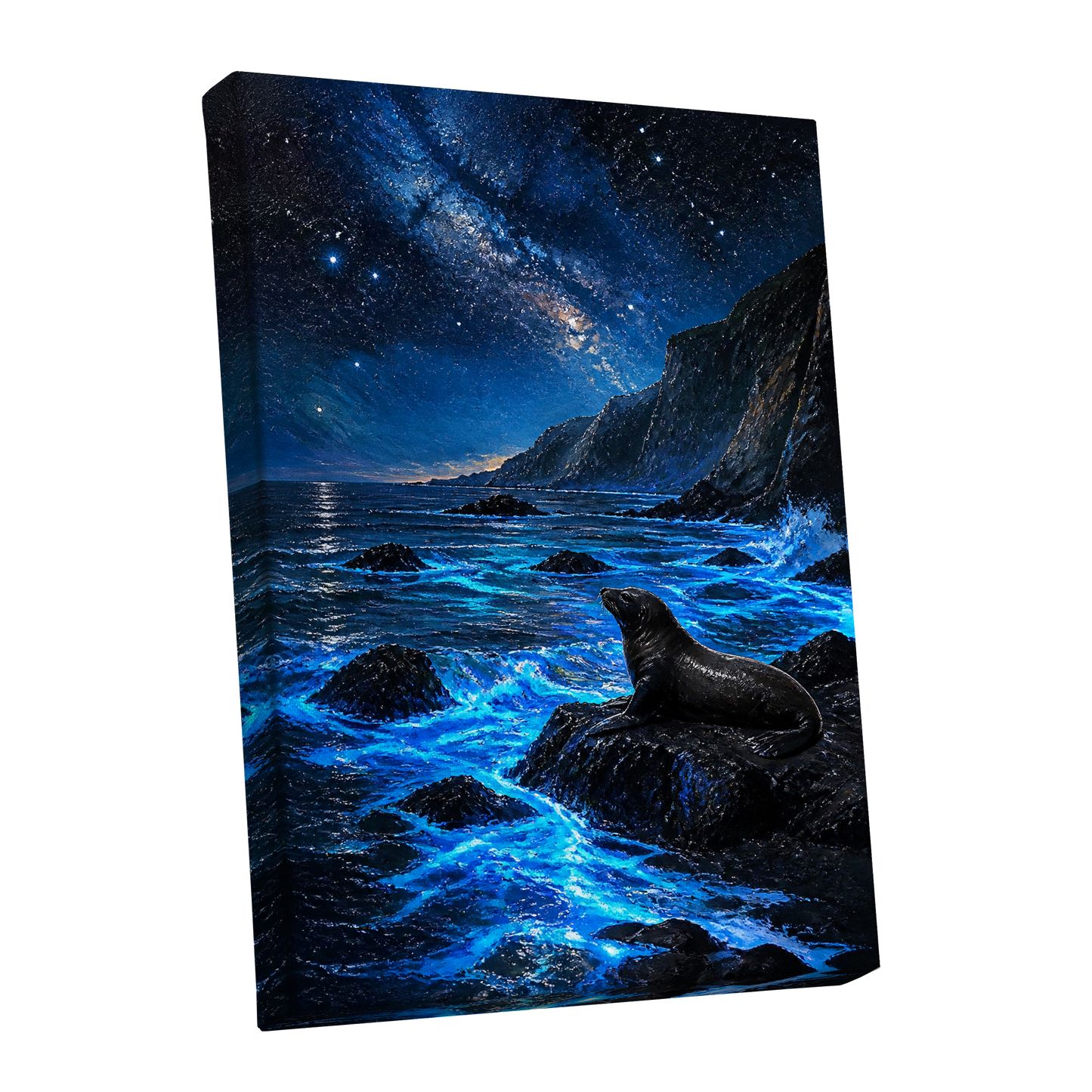 Starlit Seal Cove, blue, black, white nature wall art shown as a stretched canvas wall art