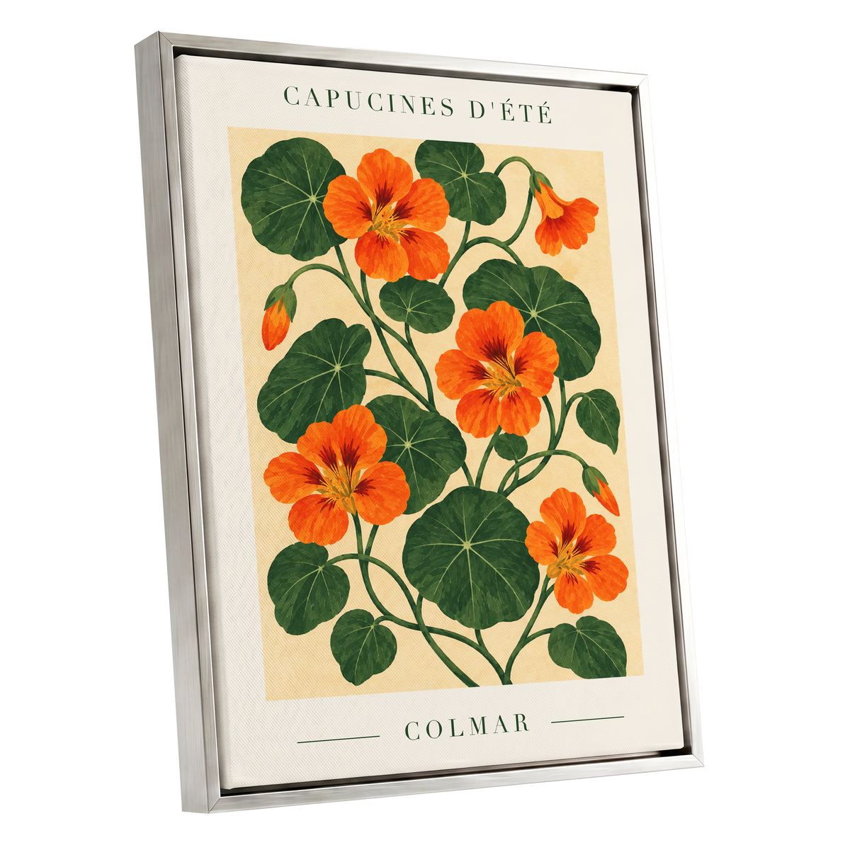 Summer Nasturtiums, orange, green, beige floral wall art shown as a silver framed canvas wall art