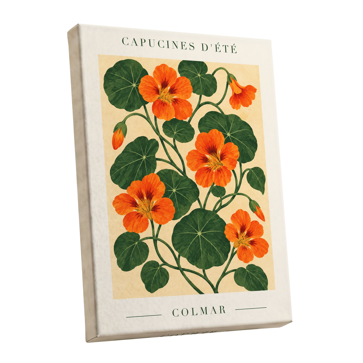 Summer Nasturtiums, orange, green, beige floral wall art shown as a stretched canvas wall art