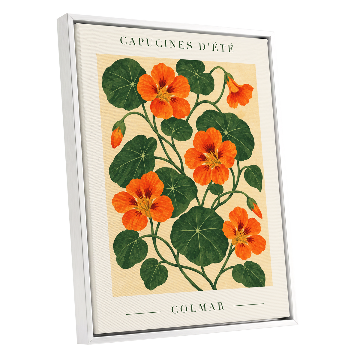 Summer Nasturtiums, orange, green, beige floral wall art shown as a white framed canvas wall art