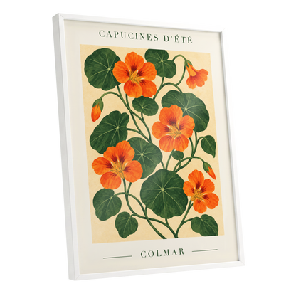 Summer Nasturtiums, orange, green, beige floral wall art shown as a white framed poster wall art print