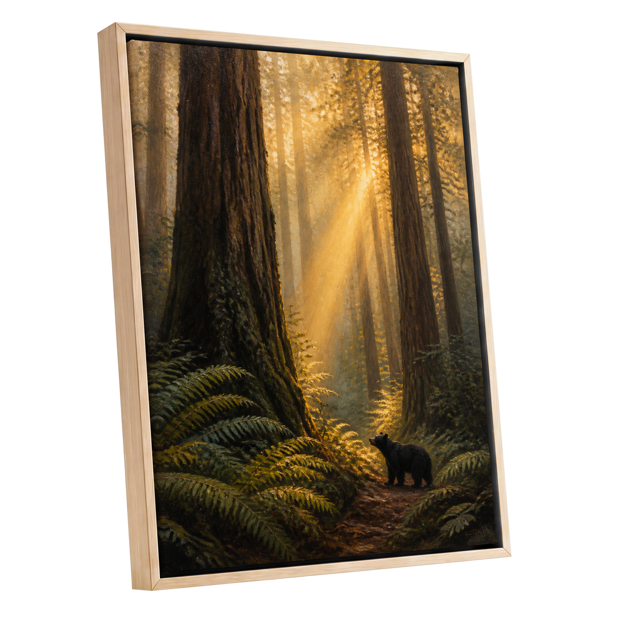 Sunbeams Among Giants, brown, gold, green nature wall art shown as a oak framed canvas wall art