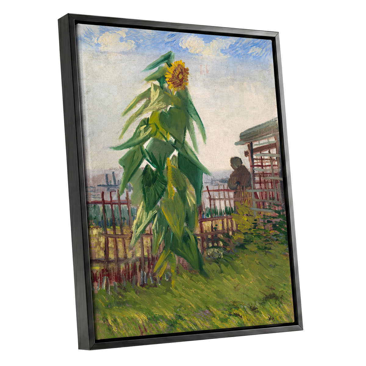 Sunflower Above the Fence, green, yellow, blue floral wall art shown as a black framed canvas wall art