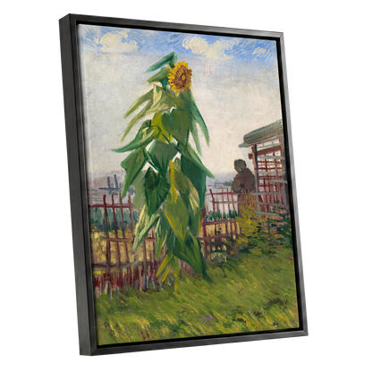 Sunflower Above the Fence, green, yellow, blue floral wall art shown as a black framed canvas wall art