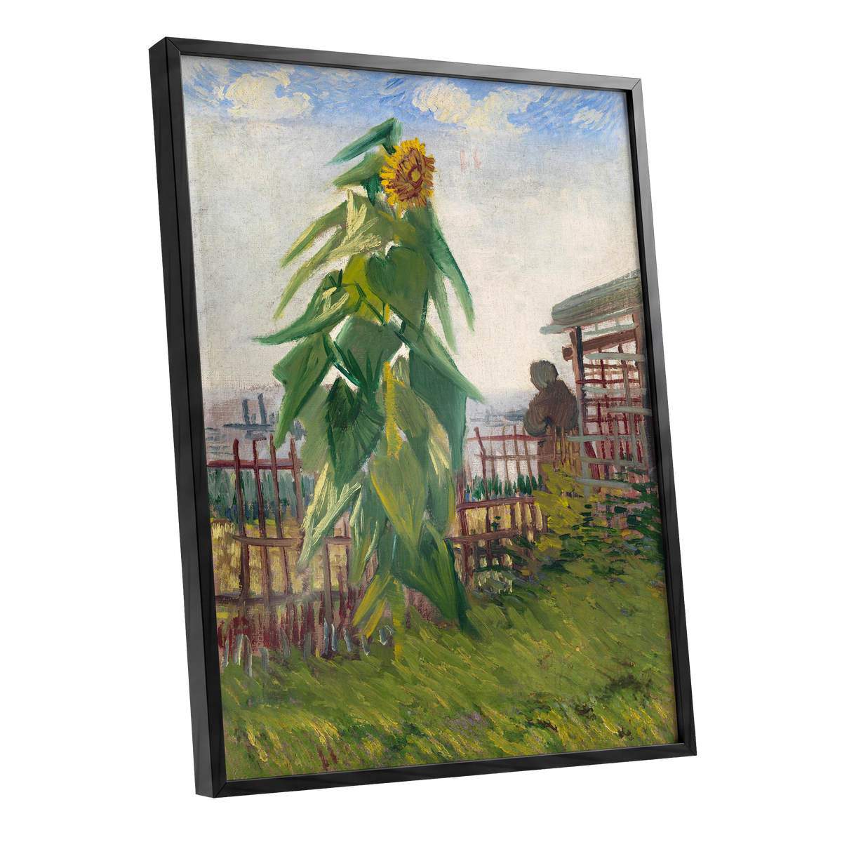 Sunflower Above the Fence, green, yellow, blue floral wall art shown as a black framed poster wall art print