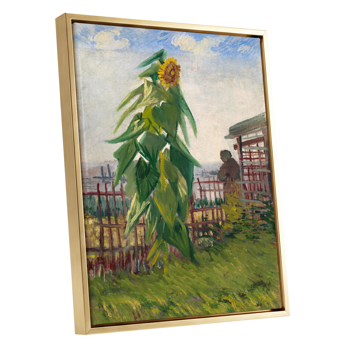 Sunflower Above the Fence, green, yellow, blue floral wall art shown as a gold framed canvas wall art