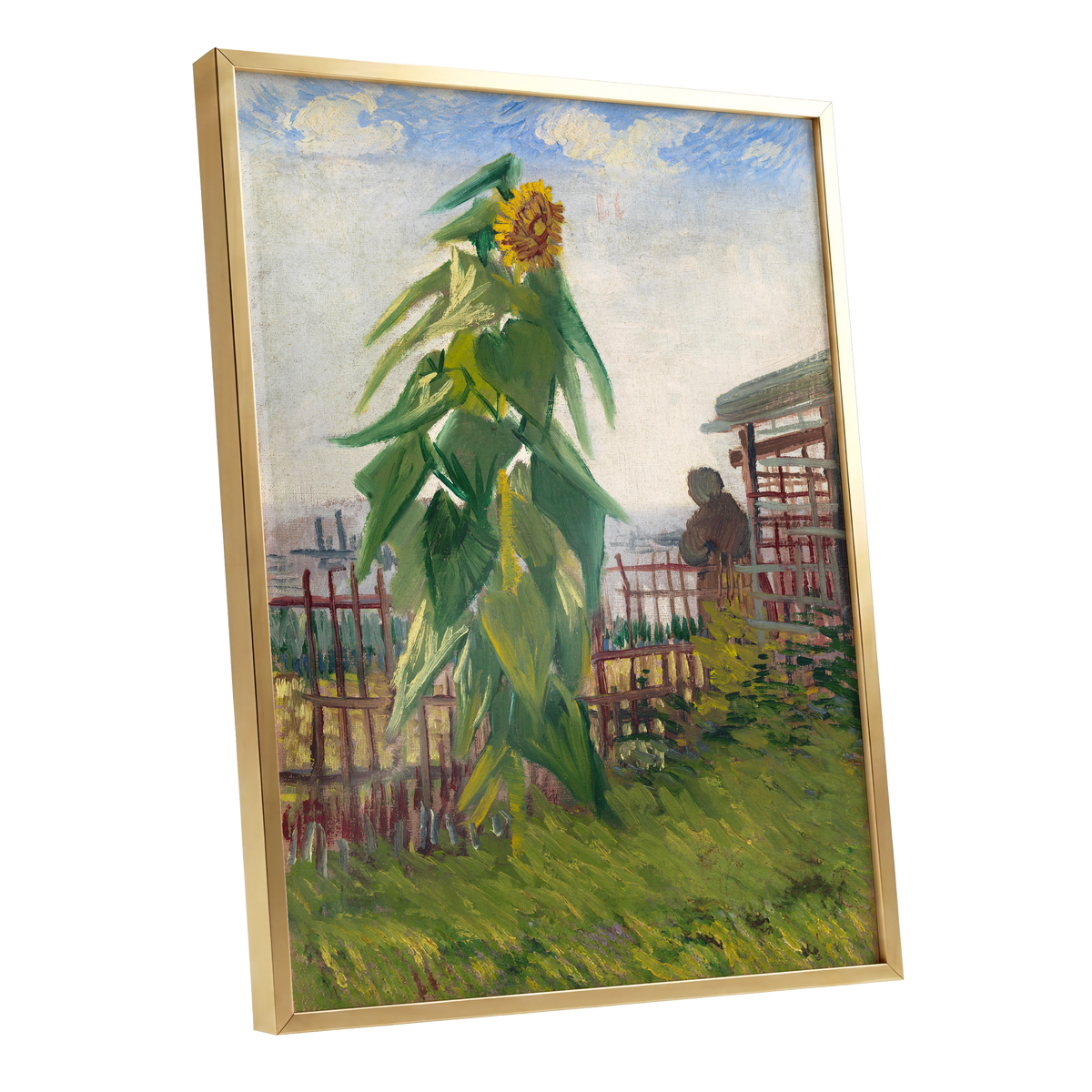 Sunflower Above the Fence, green, yellow, blue floral wall art shown as a gold framed poster wall art print