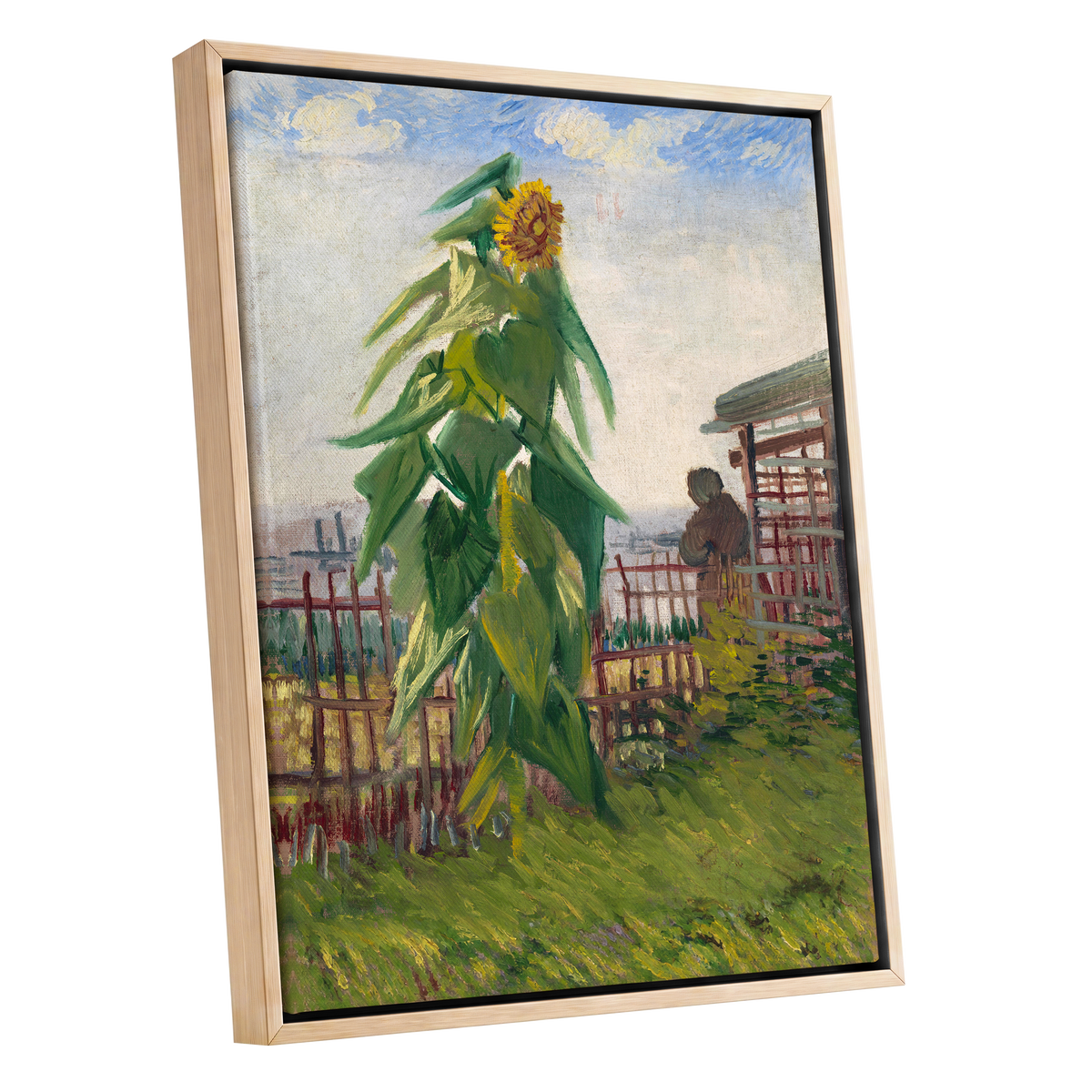Sunflower Above the Fence, green, yellow, blue floral wall art shown as a oak framed canvas wall art