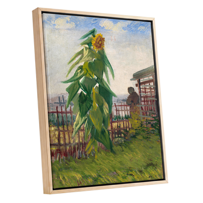Sunflower Above the Fence, green, yellow, blue floral wall art shown as a oak framed canvas wall art