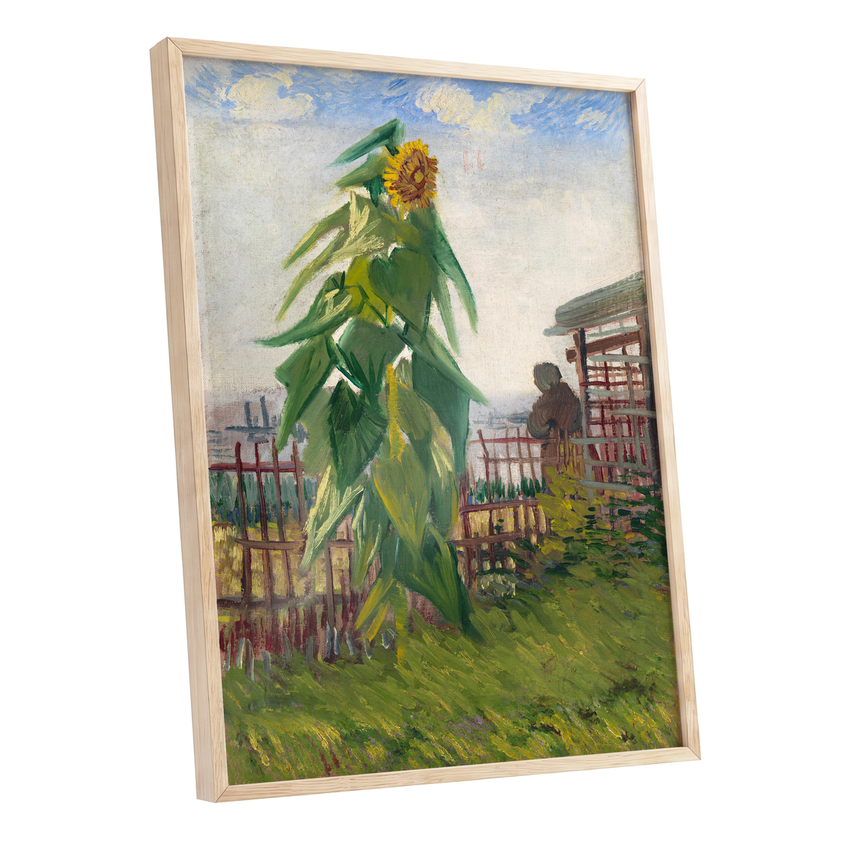 Sunflower Above the Fence, green, yellow, blue floral wall art shown as a oak framed poster wall art print