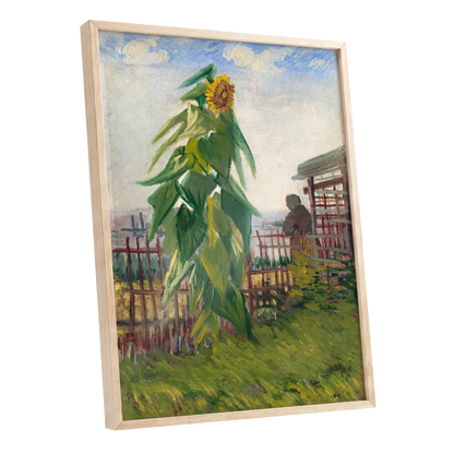 Sunflower Above the Fence, green, yellow, blue floral wall art shown as a oak framed poster wall art print