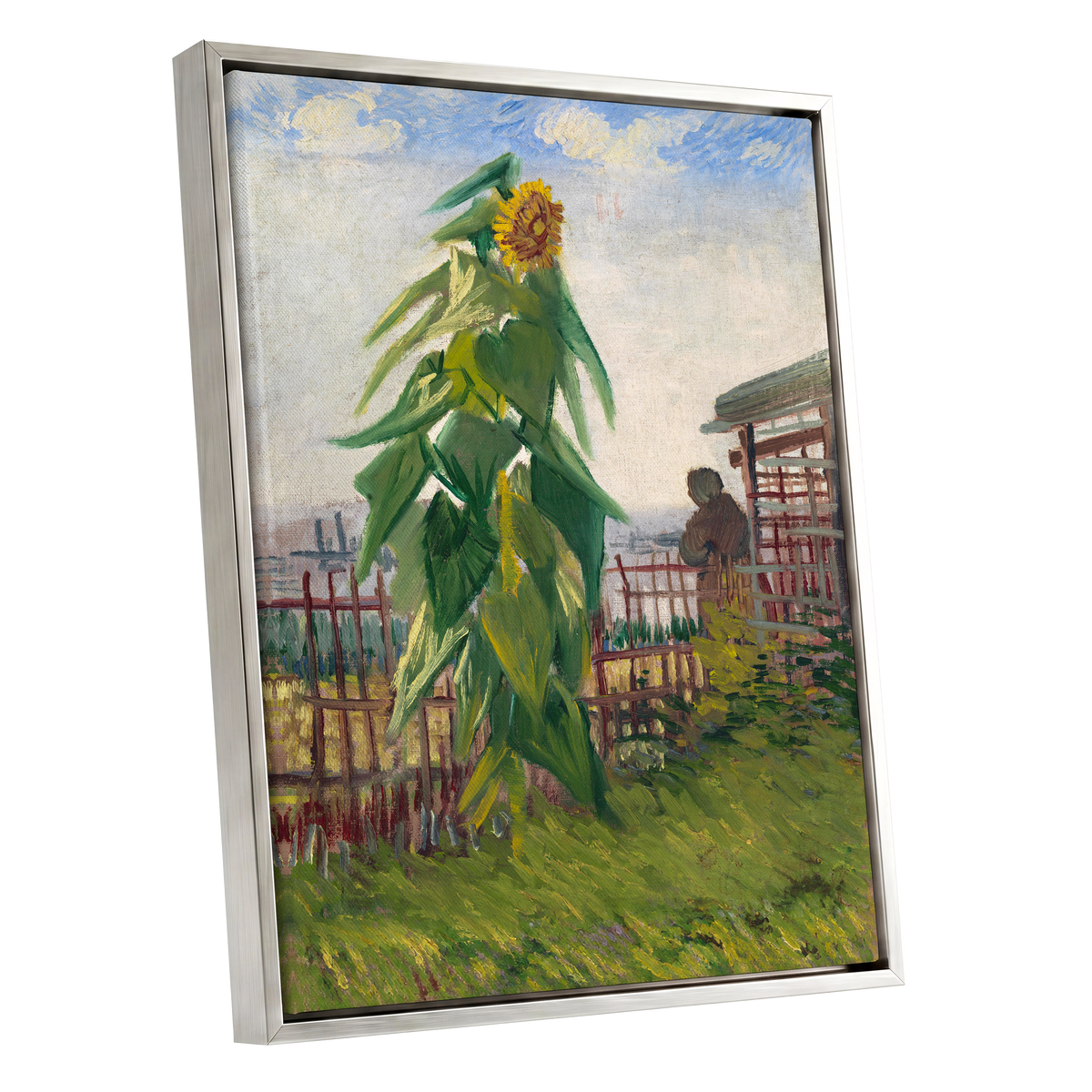Sunflower Above the Fence, green, yellow, blue floral wall art shown as a silver framed canvas wall art