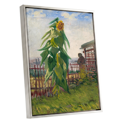 Sunflower Above the Fence, green, yellow, blue floral wall art shown as a silver framed canvas wall art